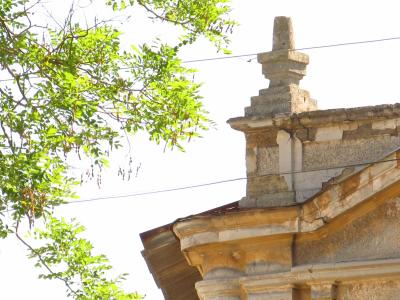 Прикрепленное изображение: IMG_6729.JPG